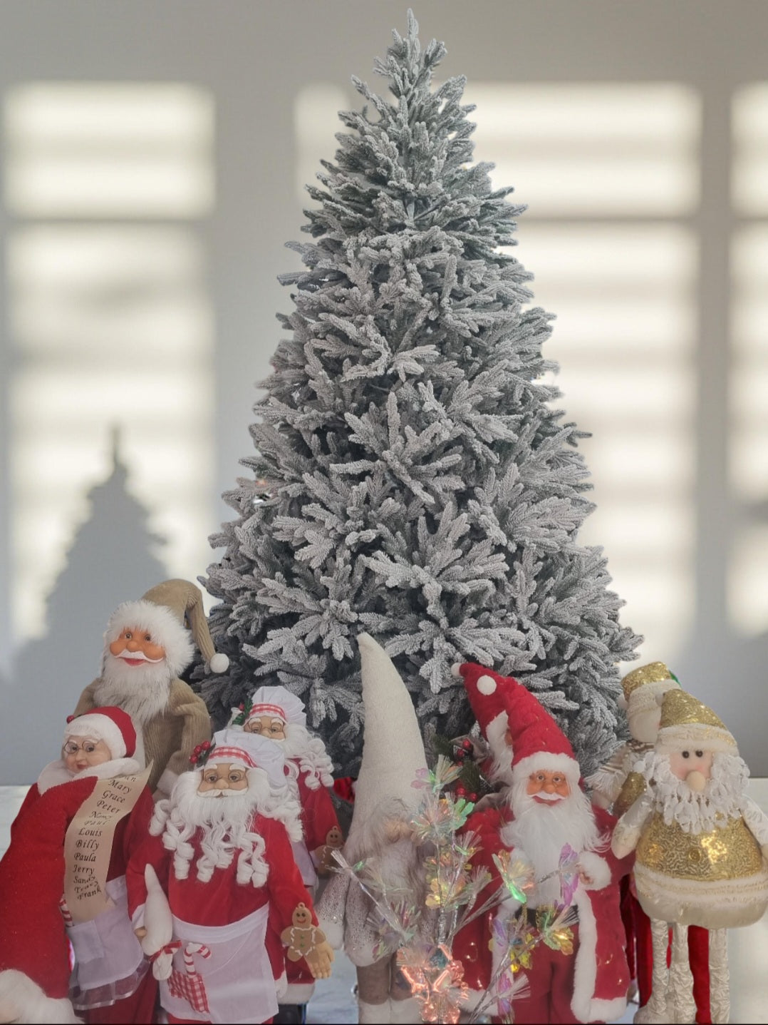 ნაძვის ხეები (ნაძვის ხე)