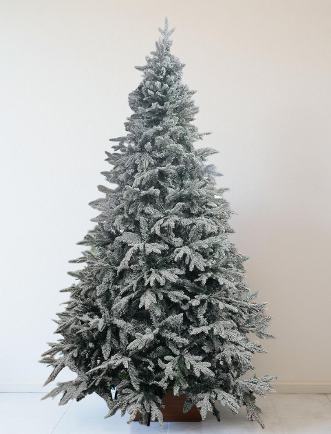 ნაძვის ხე  nadzvis xe