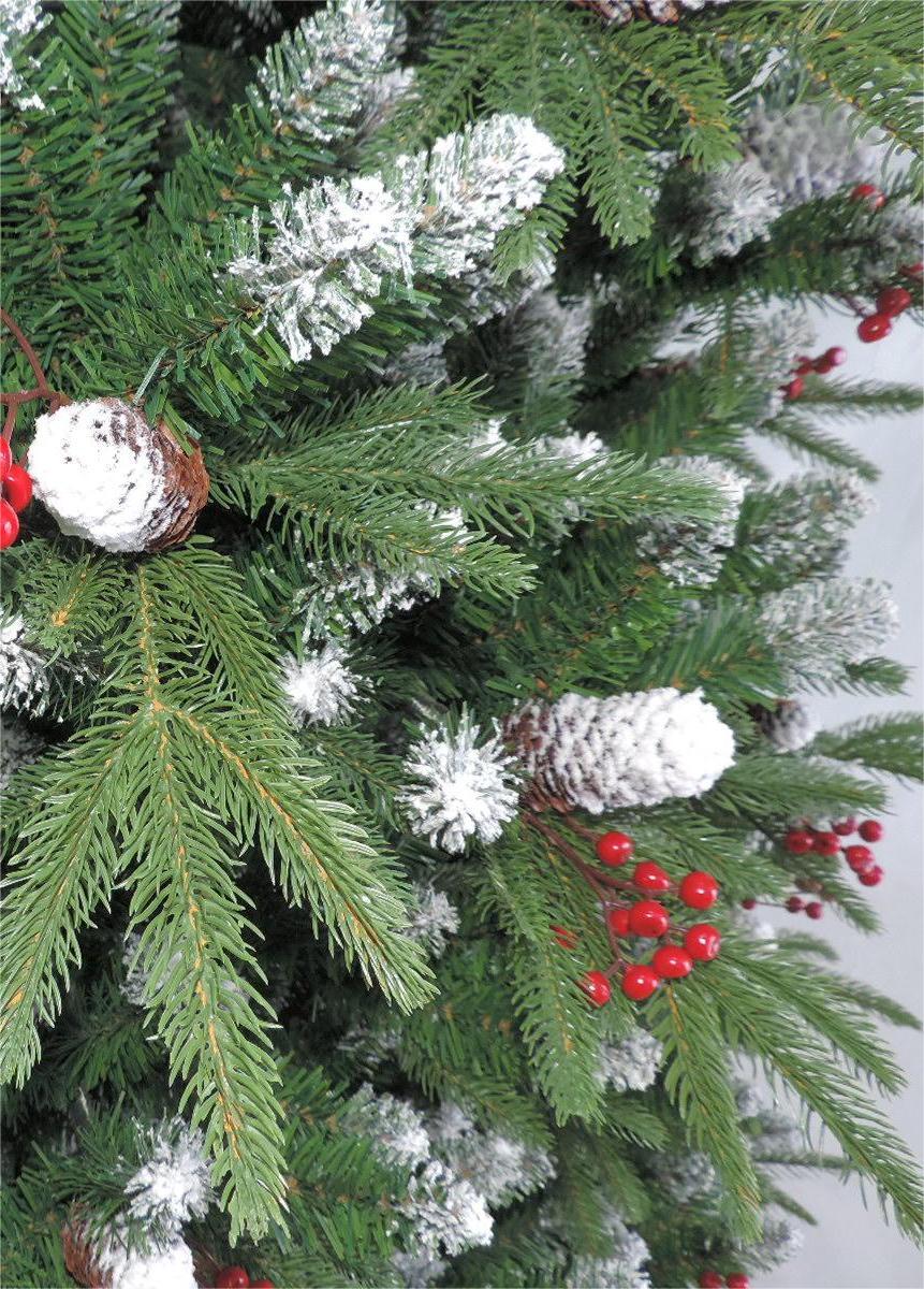 ნაძვის ხე შერეული წიწვებით გირჩებით და კენკრით