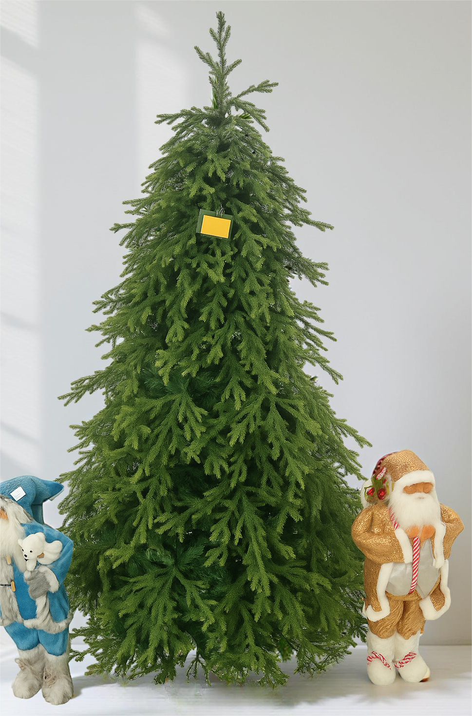 ნაძვის ხეები nadzvis xeebi