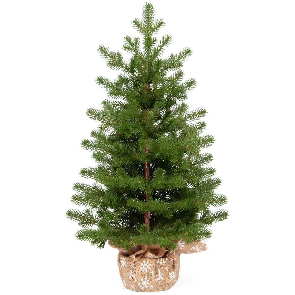 დეკორატიული ნაძვის ხე