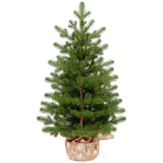 დეკორატიული ნაძვის ხე